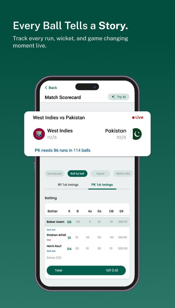 CricSea match scorecard with ball-by-ball batting figures
